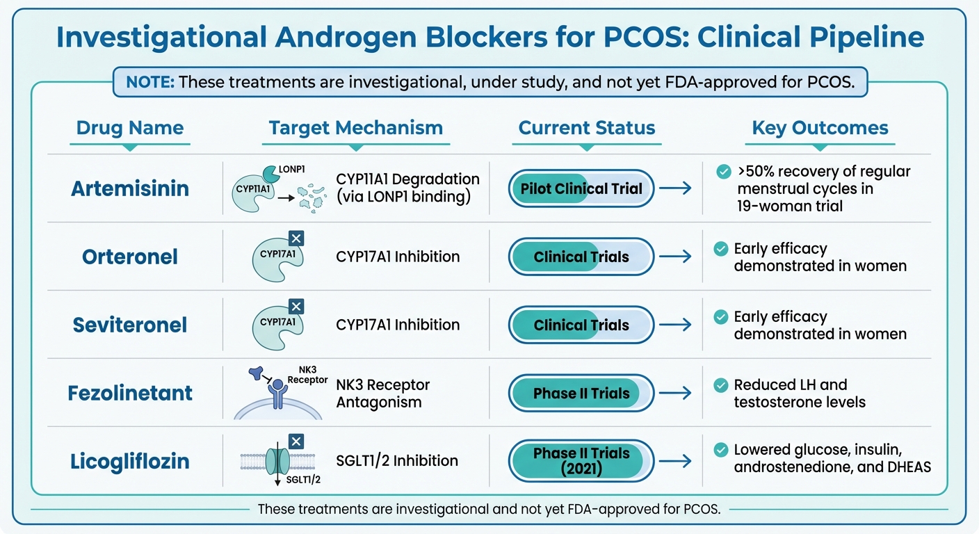 Comparison of Current and Emerging Androgen Blockers for PCOS Treatment