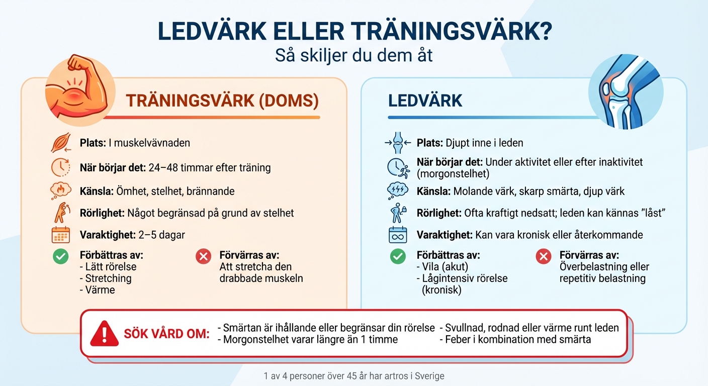 Skillnader mellan ledvärk och träningsvärk - snabbguide