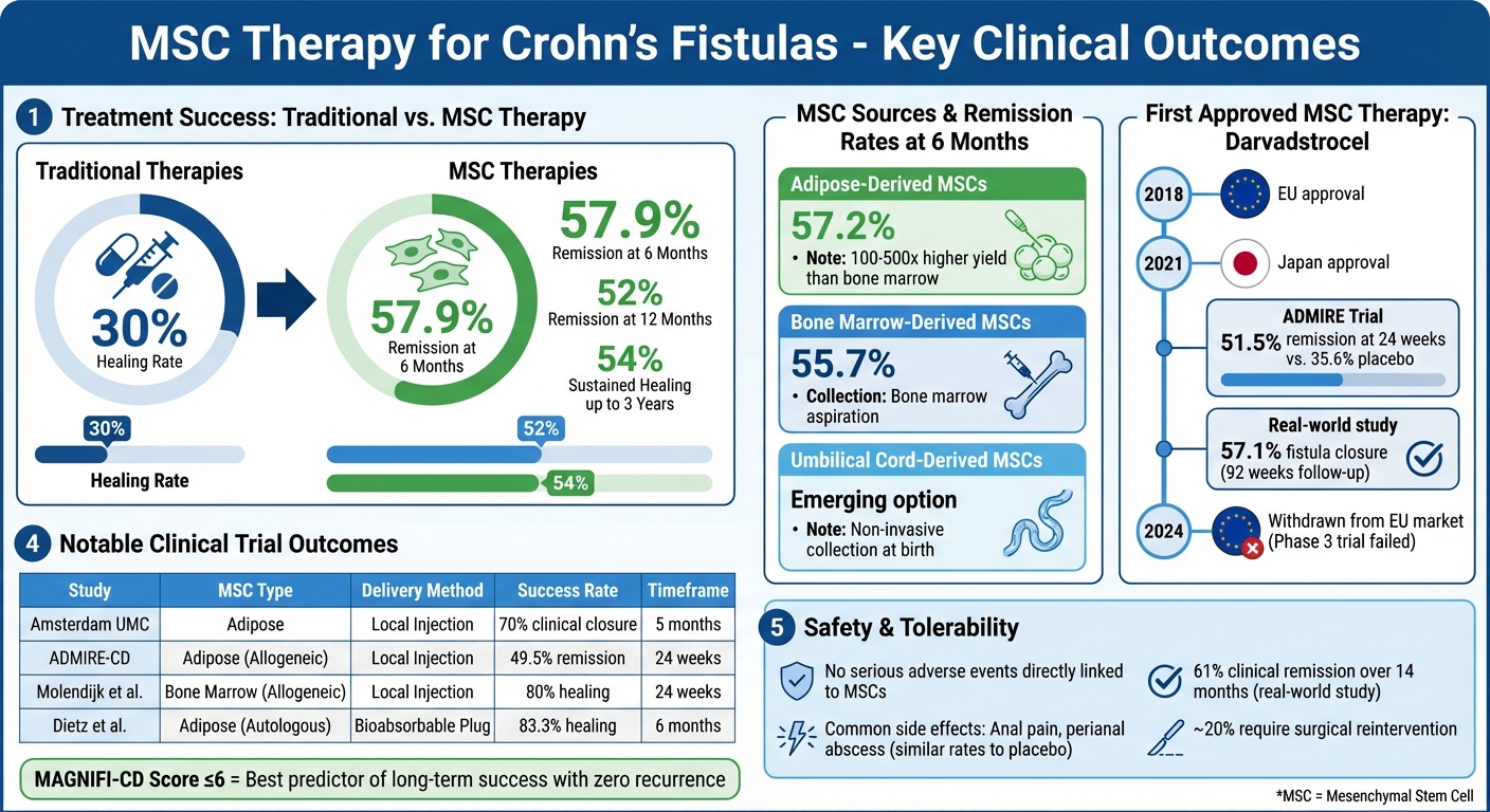 MSC Therapy Success Rates for Crohn's Fistulas: Clinical Outcomes and Comparison