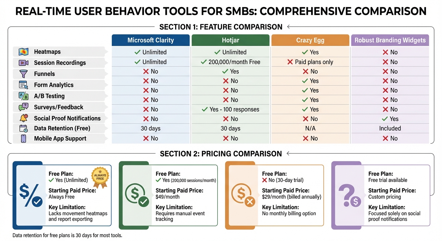 Real-Time User Behavior Tools Comparison for SMBs: Features and Pricing