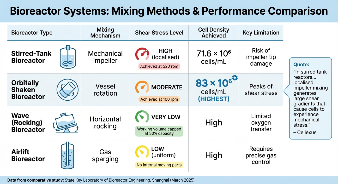 Bioreactor Types Comparison for Cultivated Meat Production