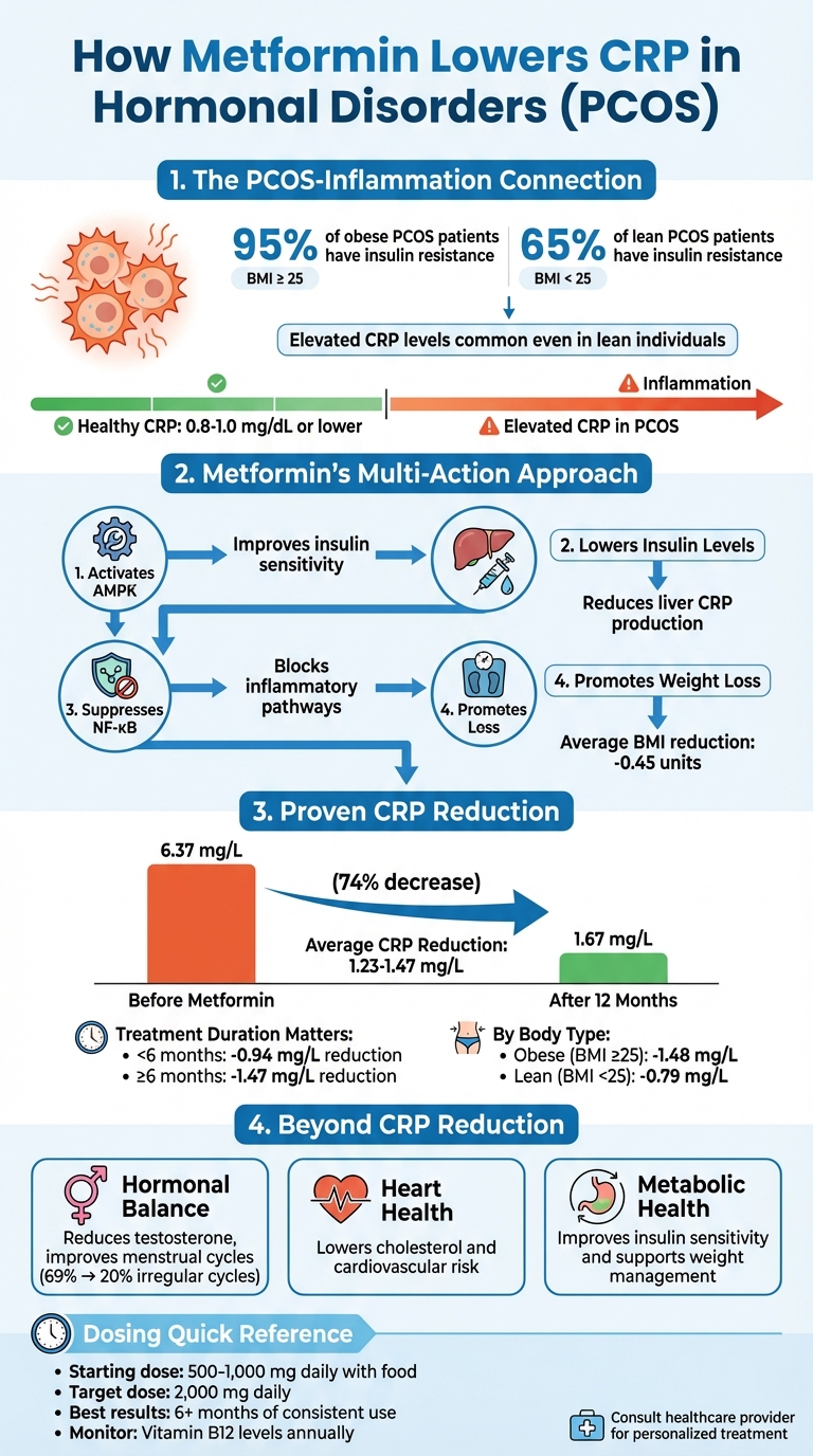 How Metformin Reduces CRP and Inflammation in PCOS: Mechanisms and Clinical Results