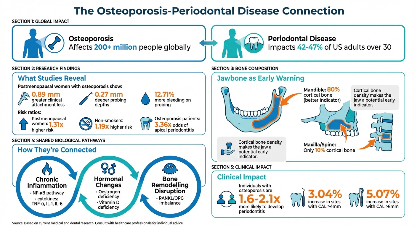 Osteoporosis and Periodontal Disease Connection: Key Statistics and Risk Factors