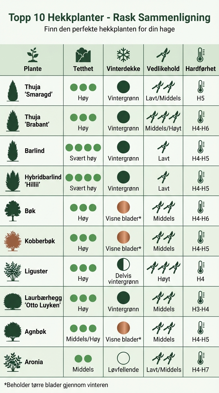 Sammenligning av 10 hekkplanter for norske hager - tetthet, vinterdekke og hardførhet