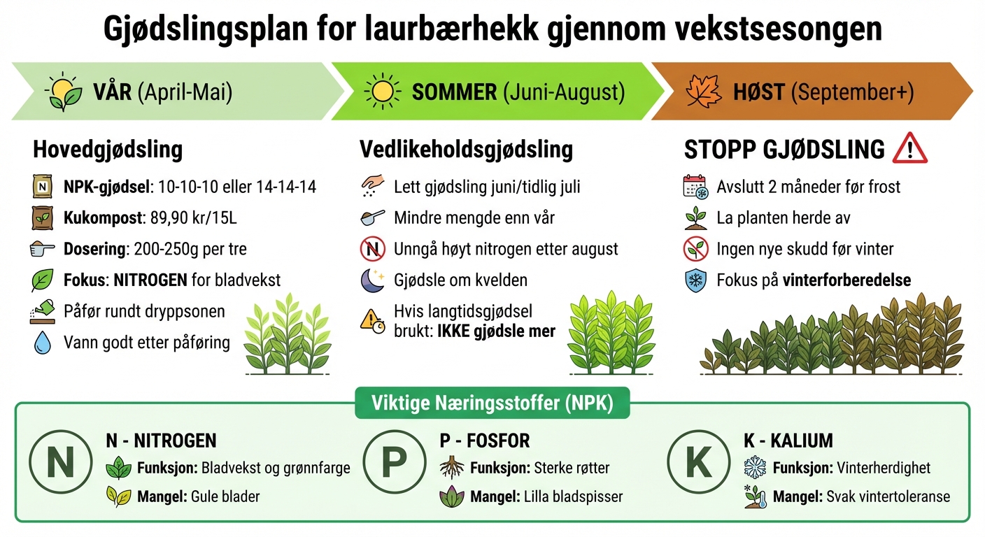 Gjødslingsplan for laurbærhekk gjennom vekstsesongen