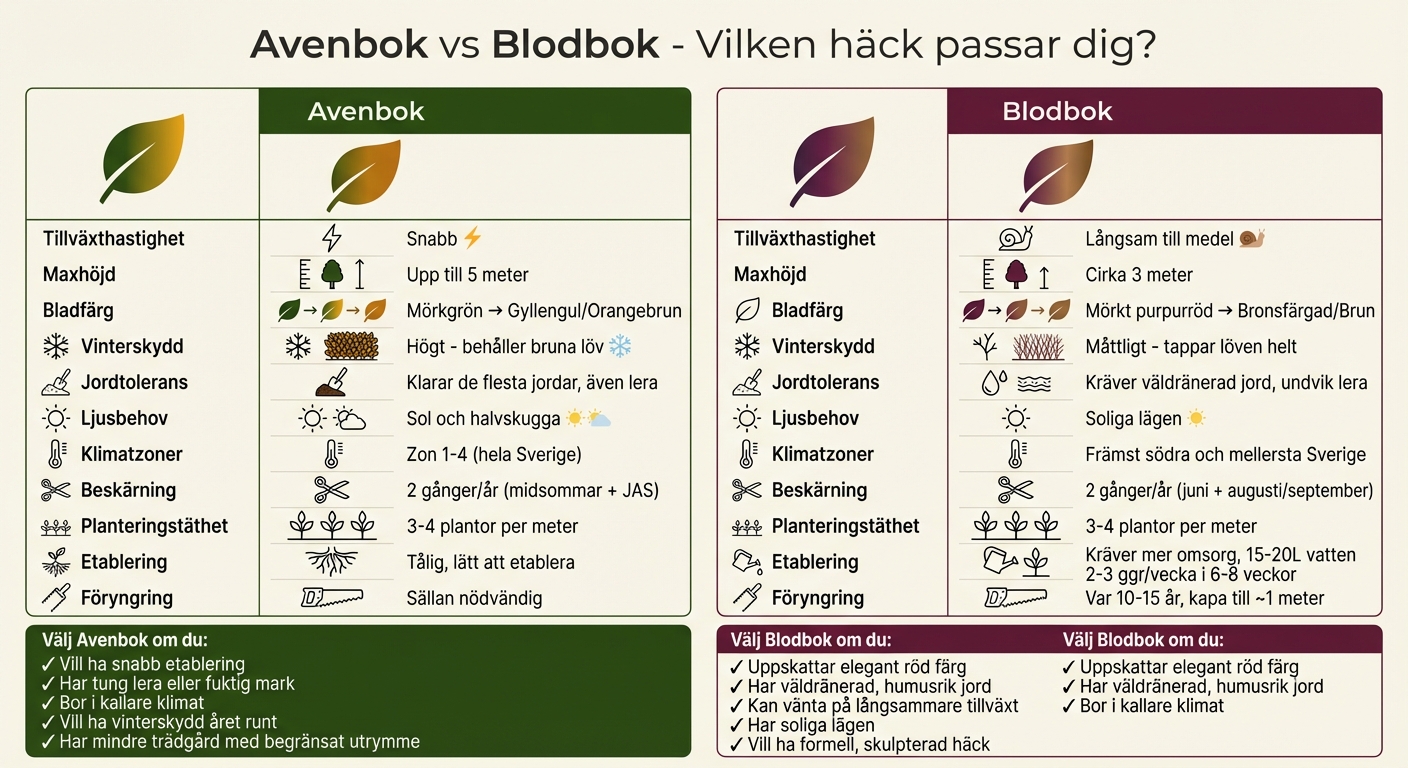 Avenbok vs blodbok jämförelse - egenskaper och skillnader