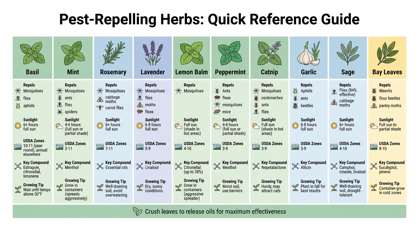10 Pest-Repelling Herbs: Growing Conditions and Effectiveness Guide