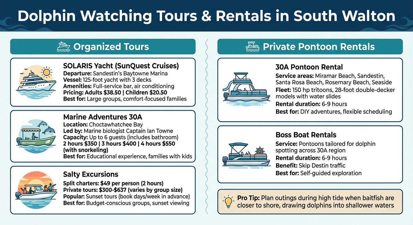 Dolphin Watching Tours and Rentals Comparison in South Walton