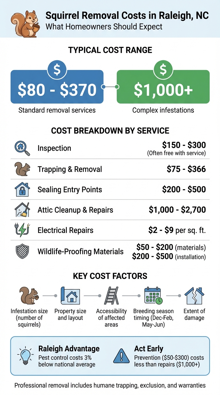 Squirrel Removal Cost Breakdown Raleigh NC 2024