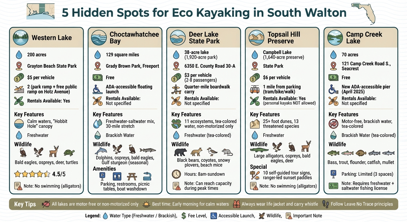 5 Best Eco Kayaking Spots in South Walton: Quick Comparison Guide