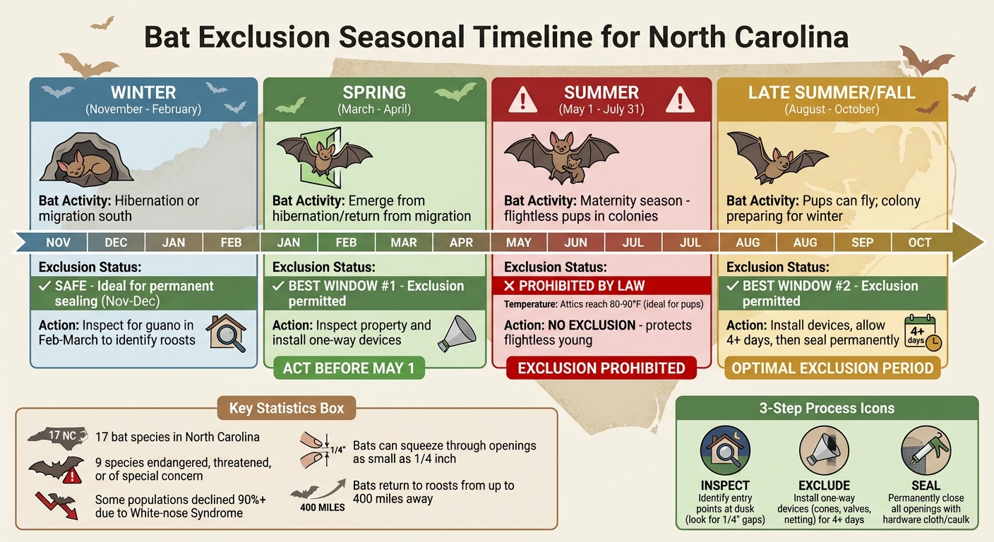 North Carolina Bat Exclusion Seasonal Timeline and Best Practices