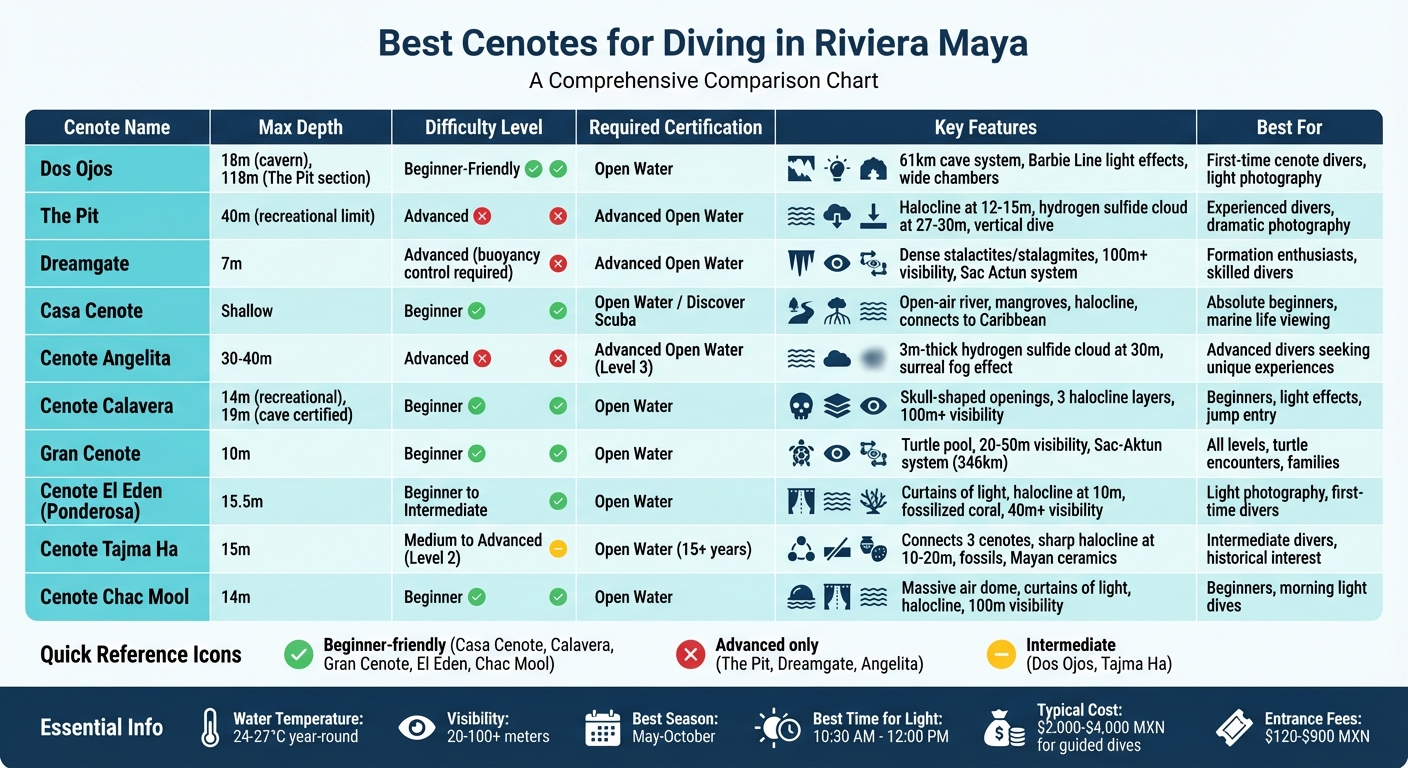 Top 10 Cenotes for Diving in Riviera Maya: Depth, Difficulty & Key Features Comparison