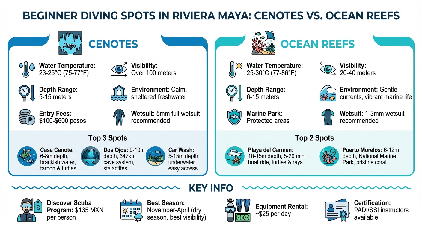 Riviera Maya Beginner Diving Spots Comparison: Cenotes vs Ocean Reefs