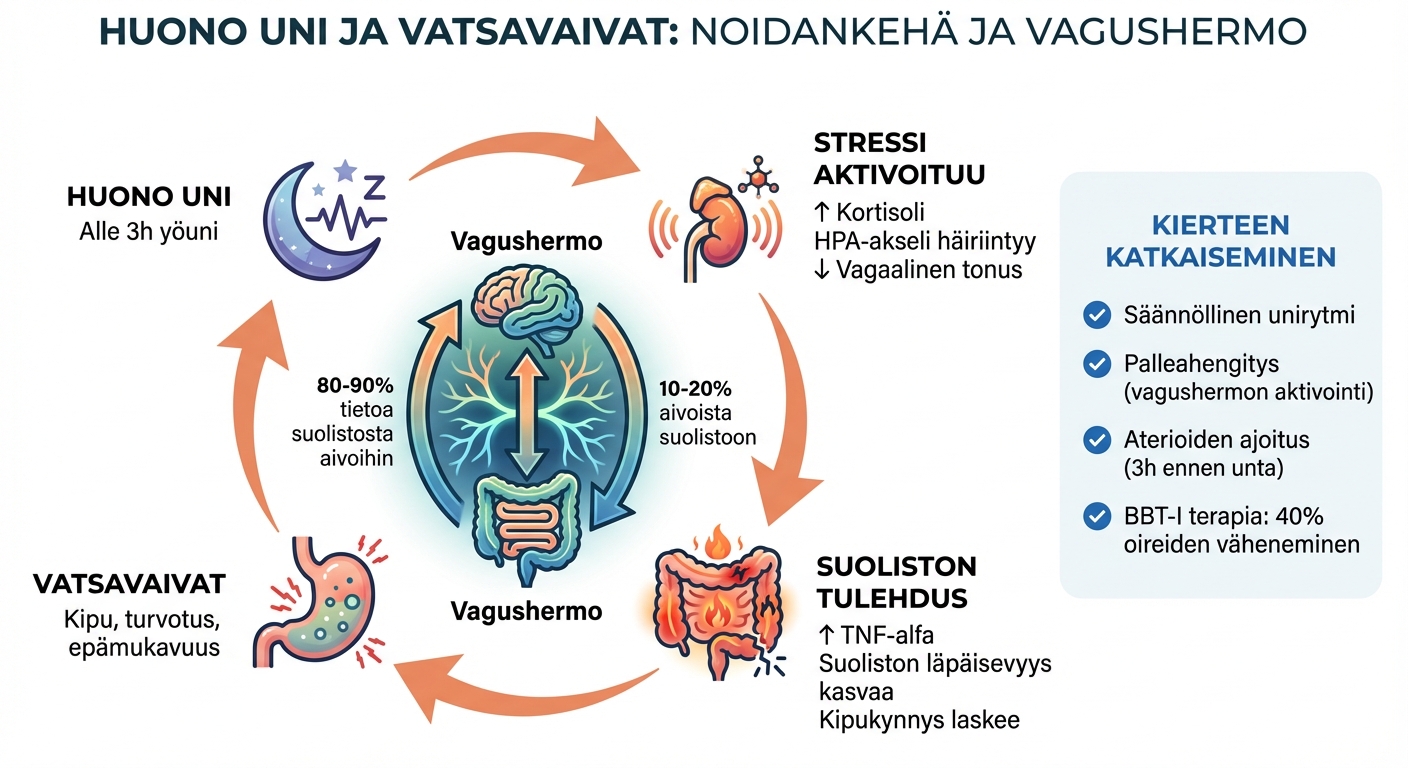 Unen ja vatsavaivojen noidankehä: vagushermon rooli