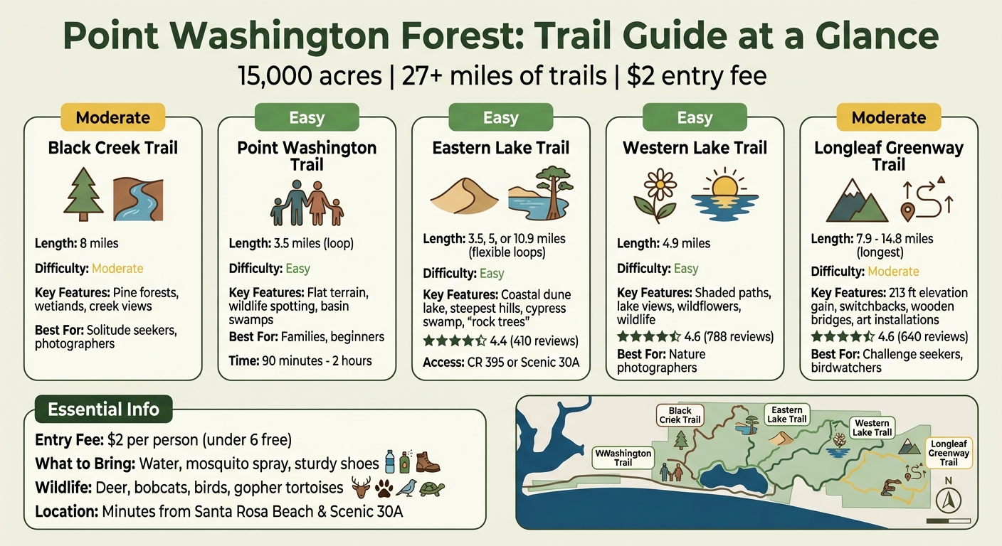 Point Washington Forest Trail Comparison Guide - Length, Difficulty & Features