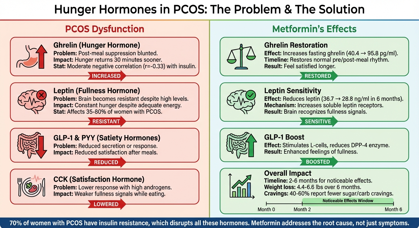 How PCOS Disrupts Hunger Hormones vs How Metformin Restores Balance