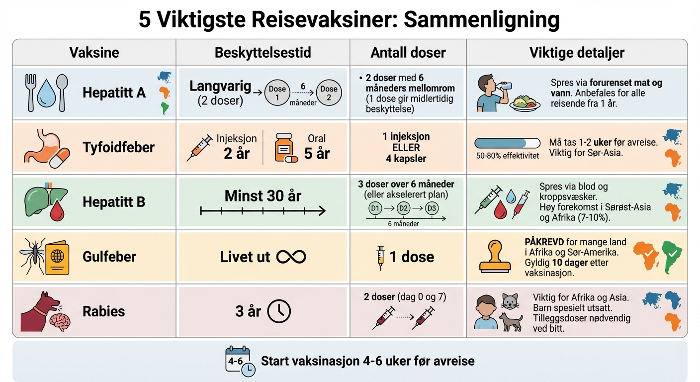 5 viktigste reisevaksiner for Asia, Afrika og Sør-Amerika - oversikt
