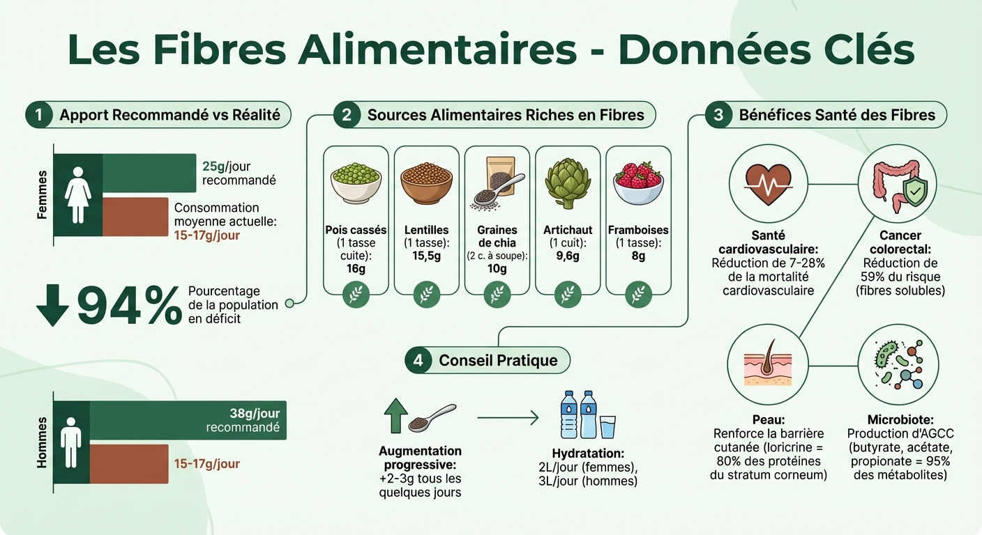 Apport en fibres : recommandations vs réalité et sources alimentaires