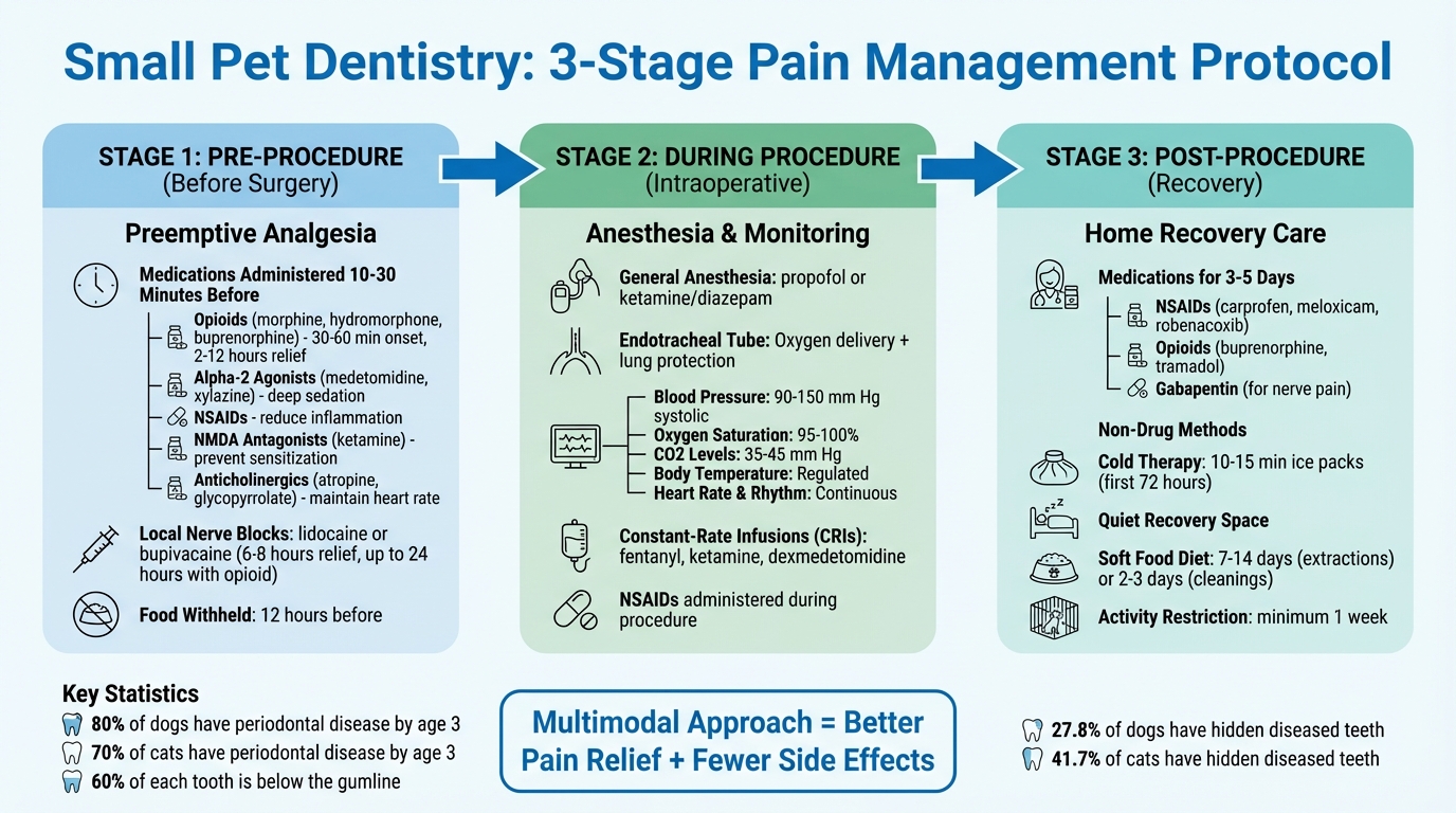 Three-Stage Pain Management Protocol for Pet Dental Procedures