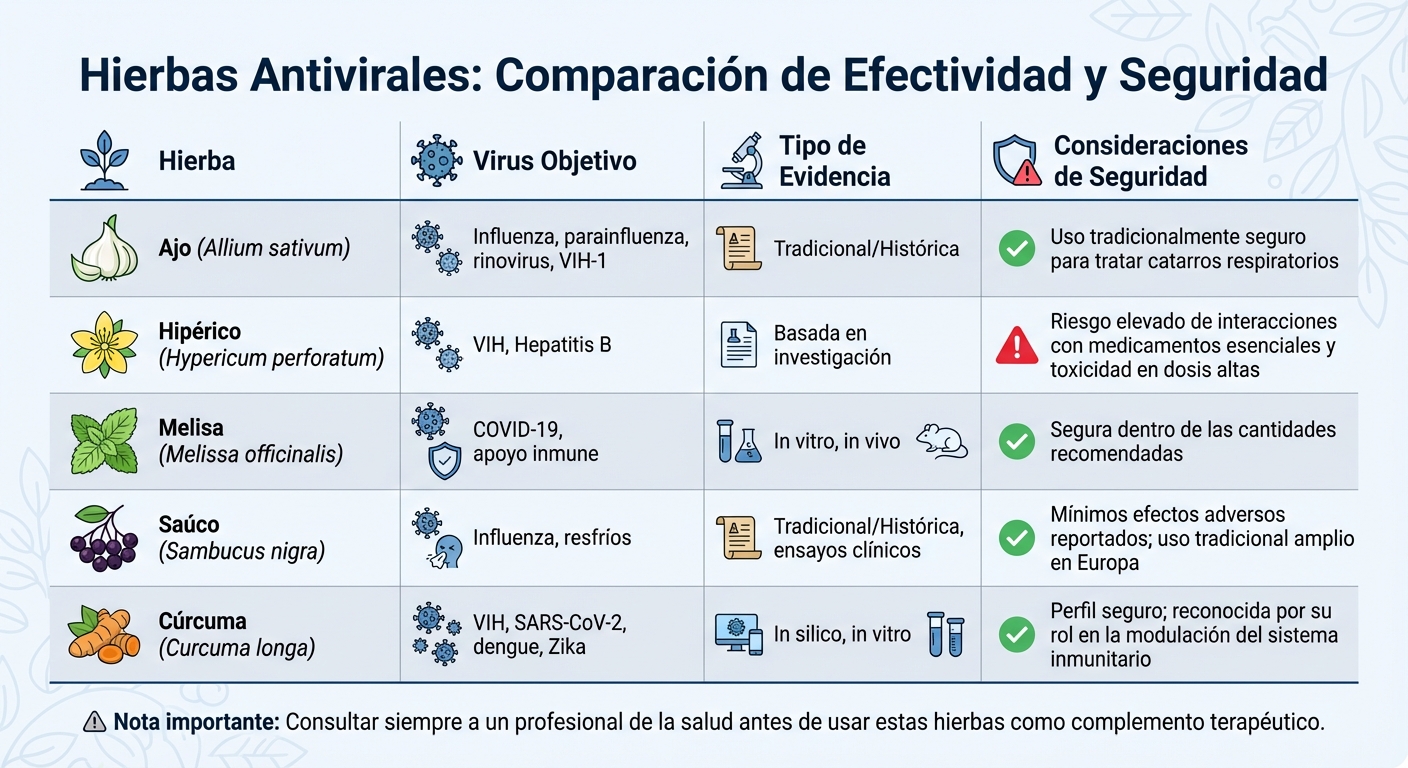 Comparación de hierbas antivirales: efectividad, evidencia científica y seguridad
