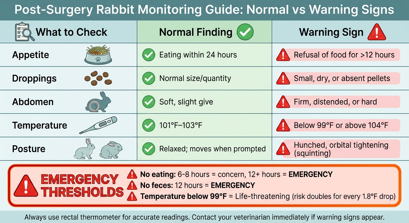 Post-Surgery Rabbit Monitoring Guide: Normal vs Warning Signs