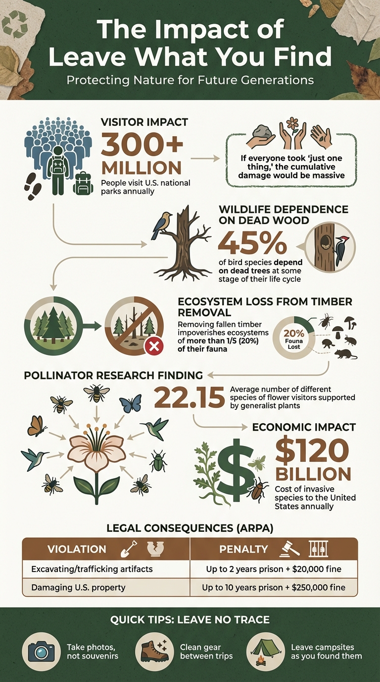 Impact of Leave What You Find: Key Statistics on Nature Protection