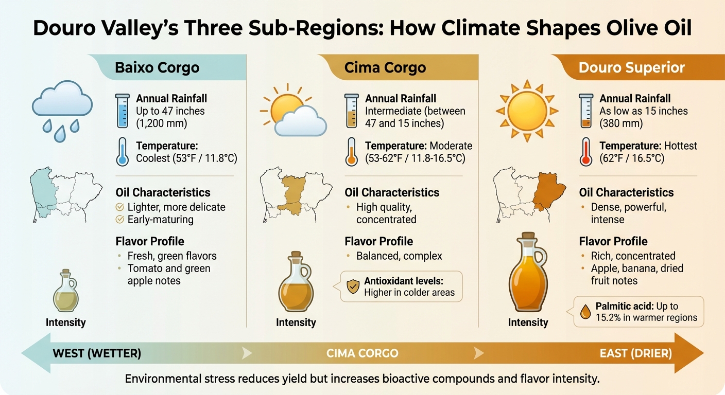 Douro Valley Sub-Regions: Climate and Olive Oil Characteristics Comparison
