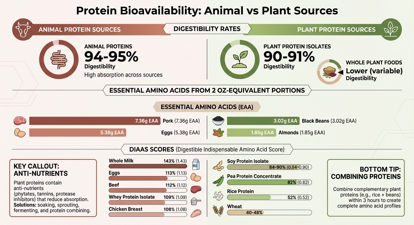 Protein Bioavailability Comparison: Animal vs Plant-Based Sources with DIAAS Scores