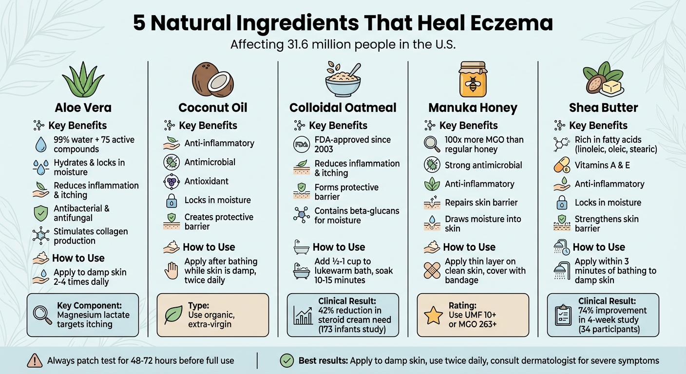 5 Natural Ingredients for Eczema Relief: Benefits and Application Guide