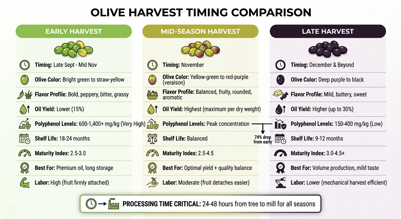 Olive Harvest Timing Comparison: Early vs Mid vs Late Season