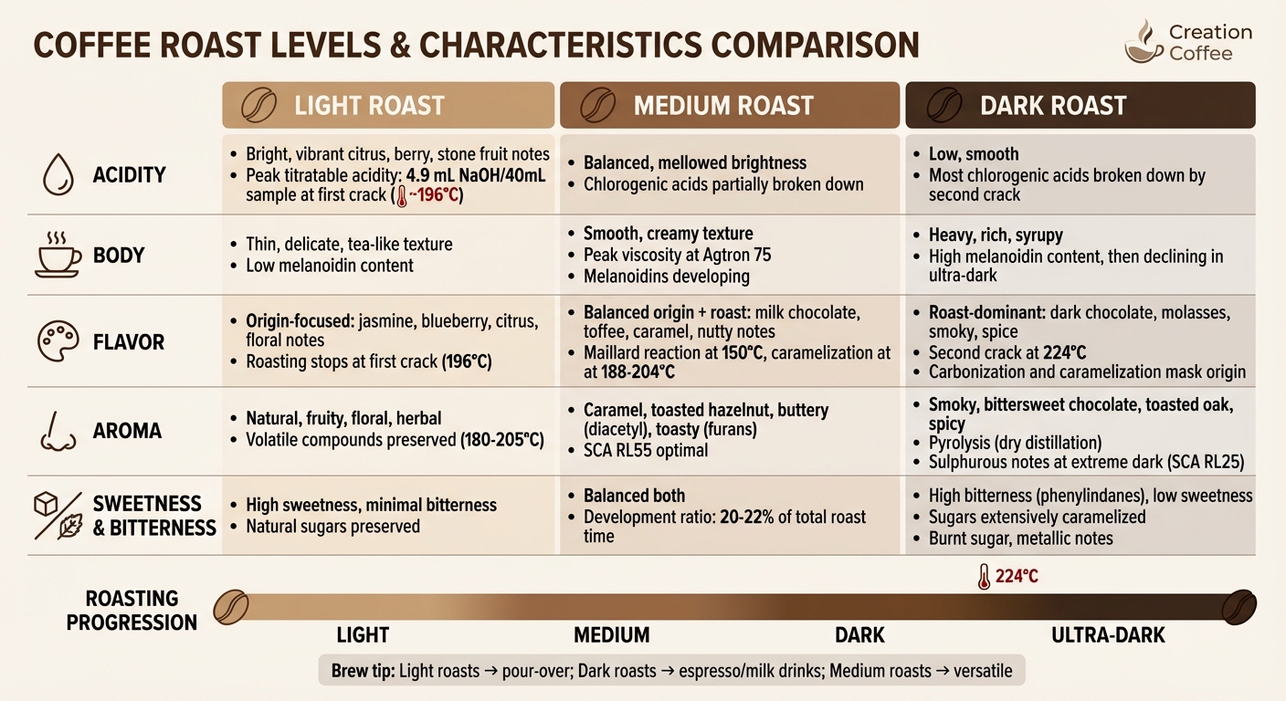 How Coffee Roast Levels Affect Taste: Light vs Medium vs Dark Roast Comparison