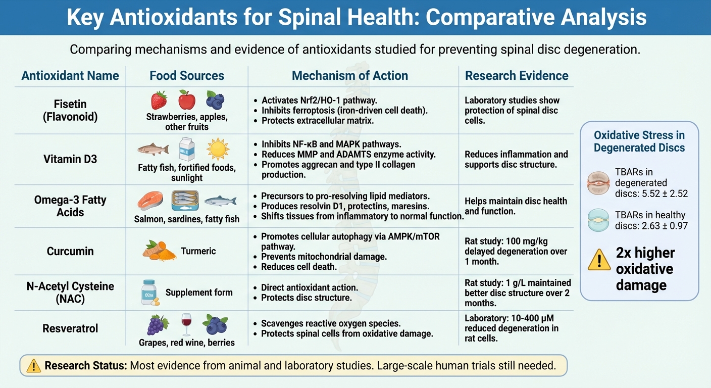 Key Antioxidants for Spinal Health: Sources, Mechanisms, and Research Evidence