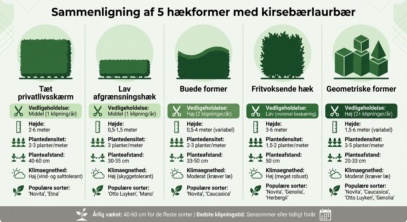 Sammenligning af 5 hækdesign med kirsebærlaurbær - højde, plantedensitet og vedligeholdelse