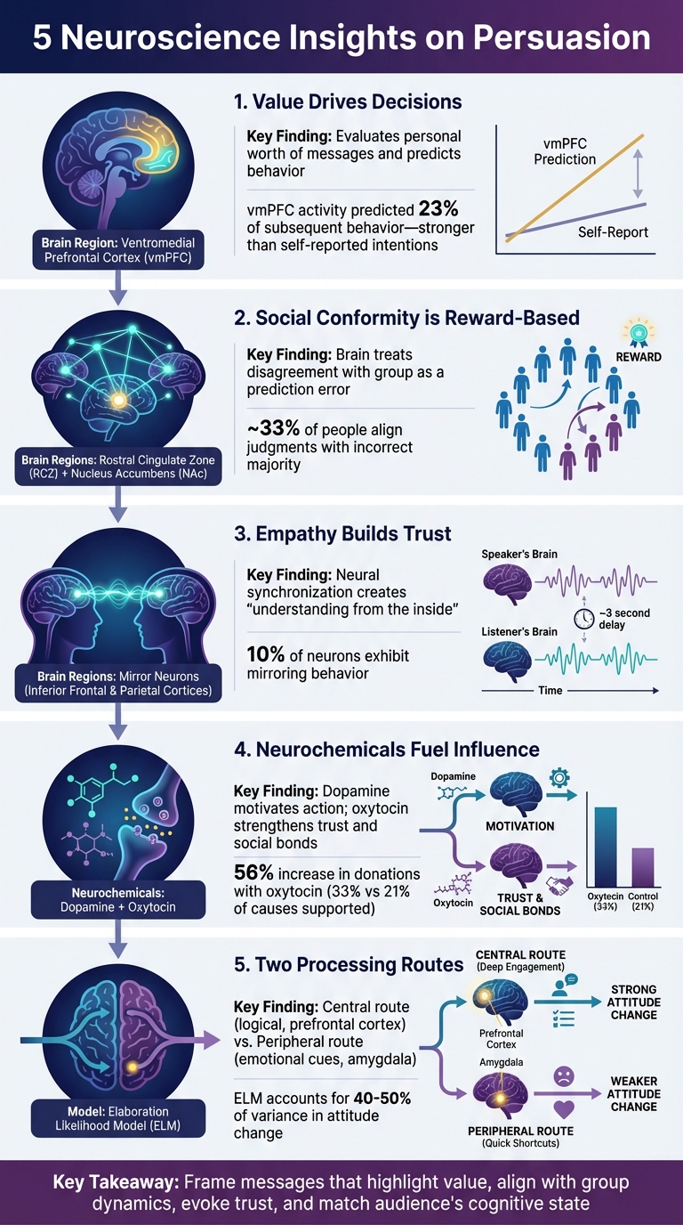 5 Neuroscience Insights on Persuasion: Brain Regions and Key Findings