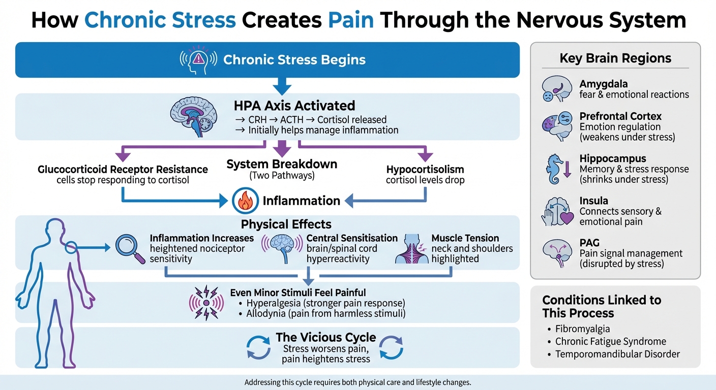 How Chronic Stress Creates Pain Through the Nervous System