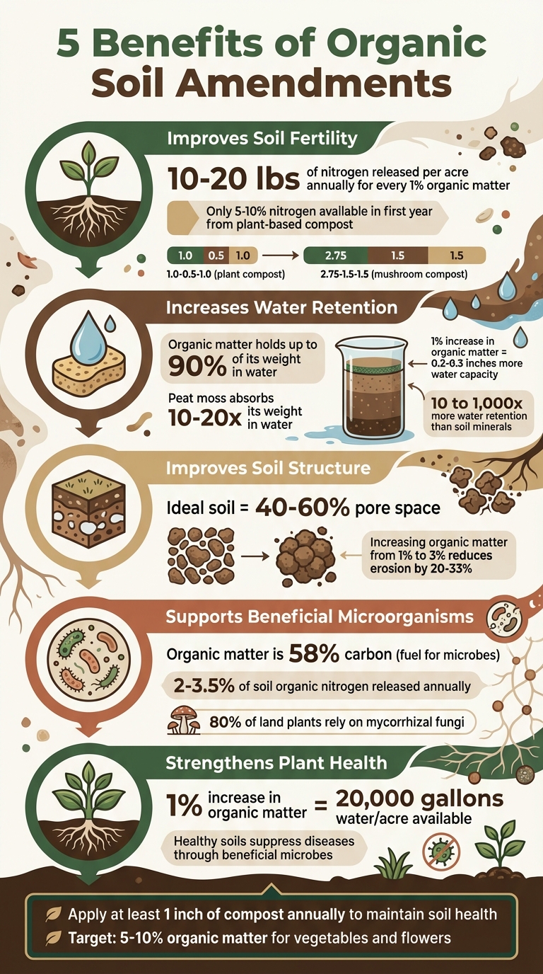 5 Key Benefits of Organic Soil Amendments with Statistics