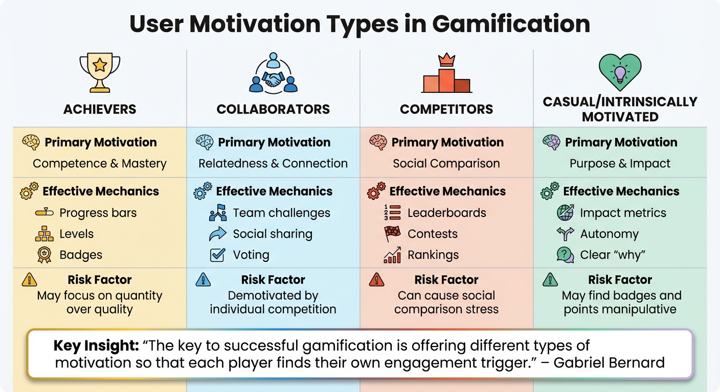 Understanding User Motivation Types in Gamified Feedback Systems