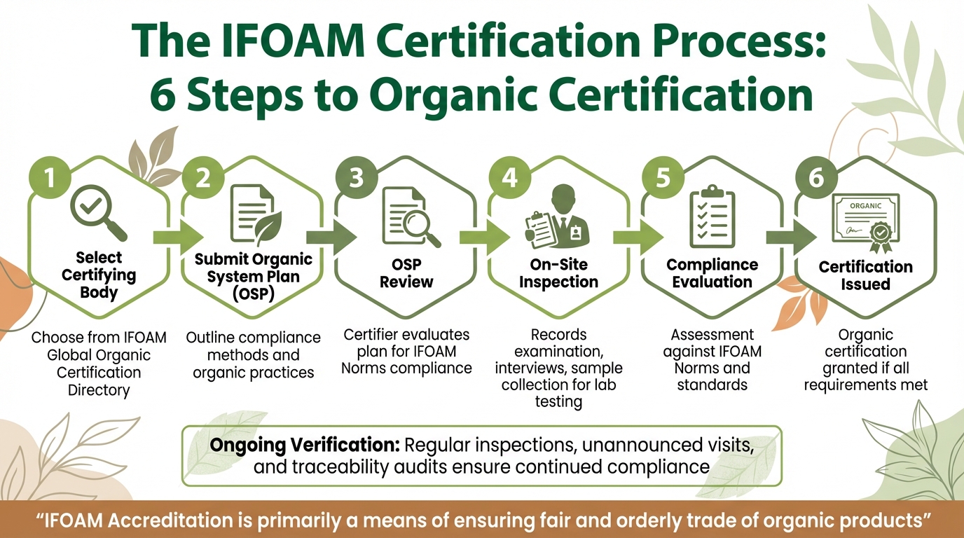 IFOAM Organic Certification Process: 6 Steps from Application to Approval