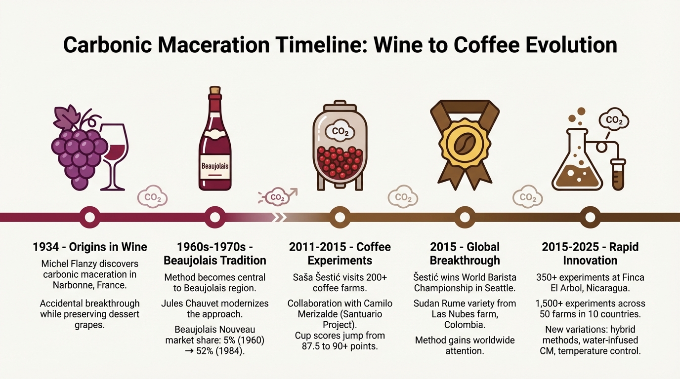 Carbonic Maceration Evolution: From Wine to Coffee (1934-2025)
