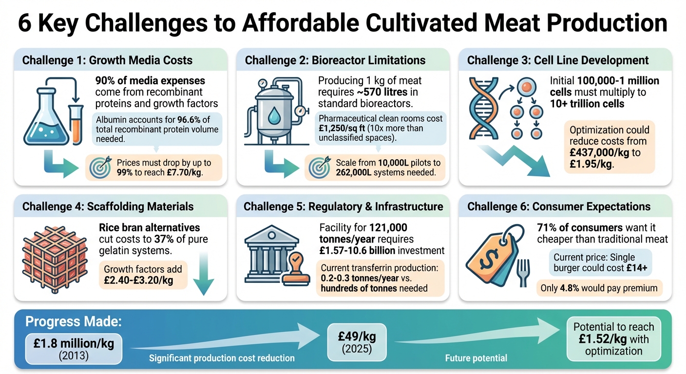 6 Key Challenges to Affordable Cultivated Meat Production