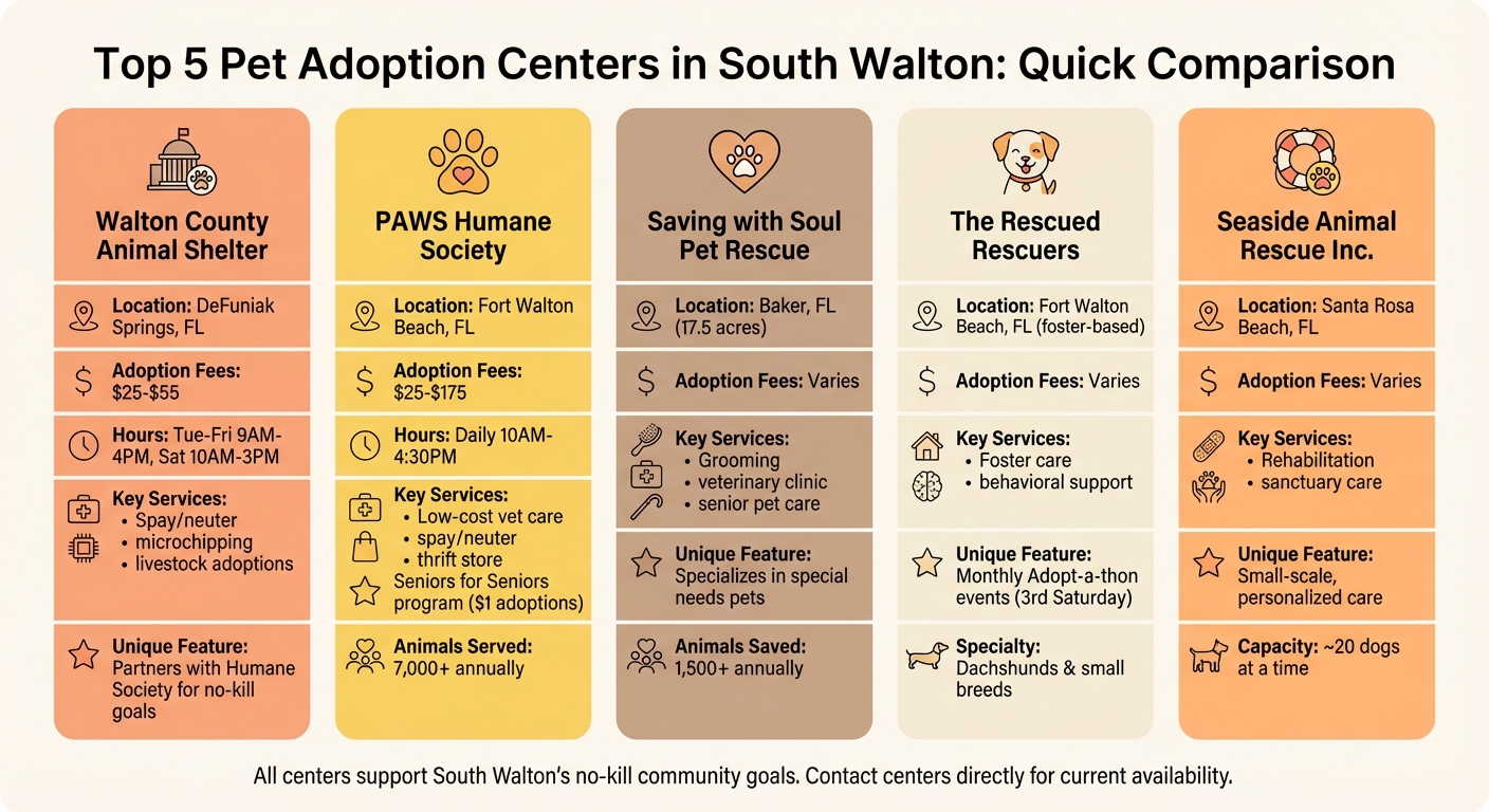 South Walton Pet Adoption Centers Comparison: Fees, Services, and Locations