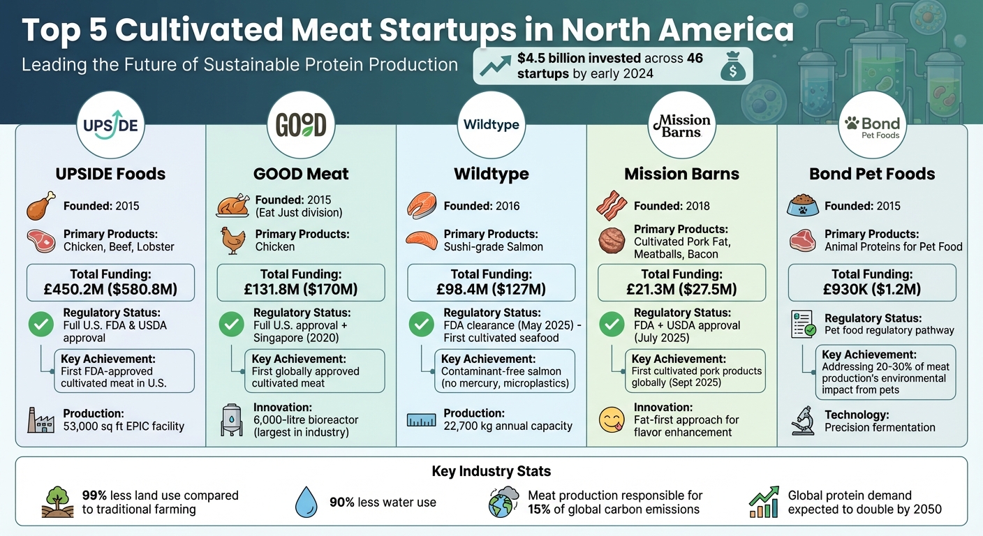 Top 5 Cultivated Meat Startups in North America: Funding, Products & Regulatory Status Comparison