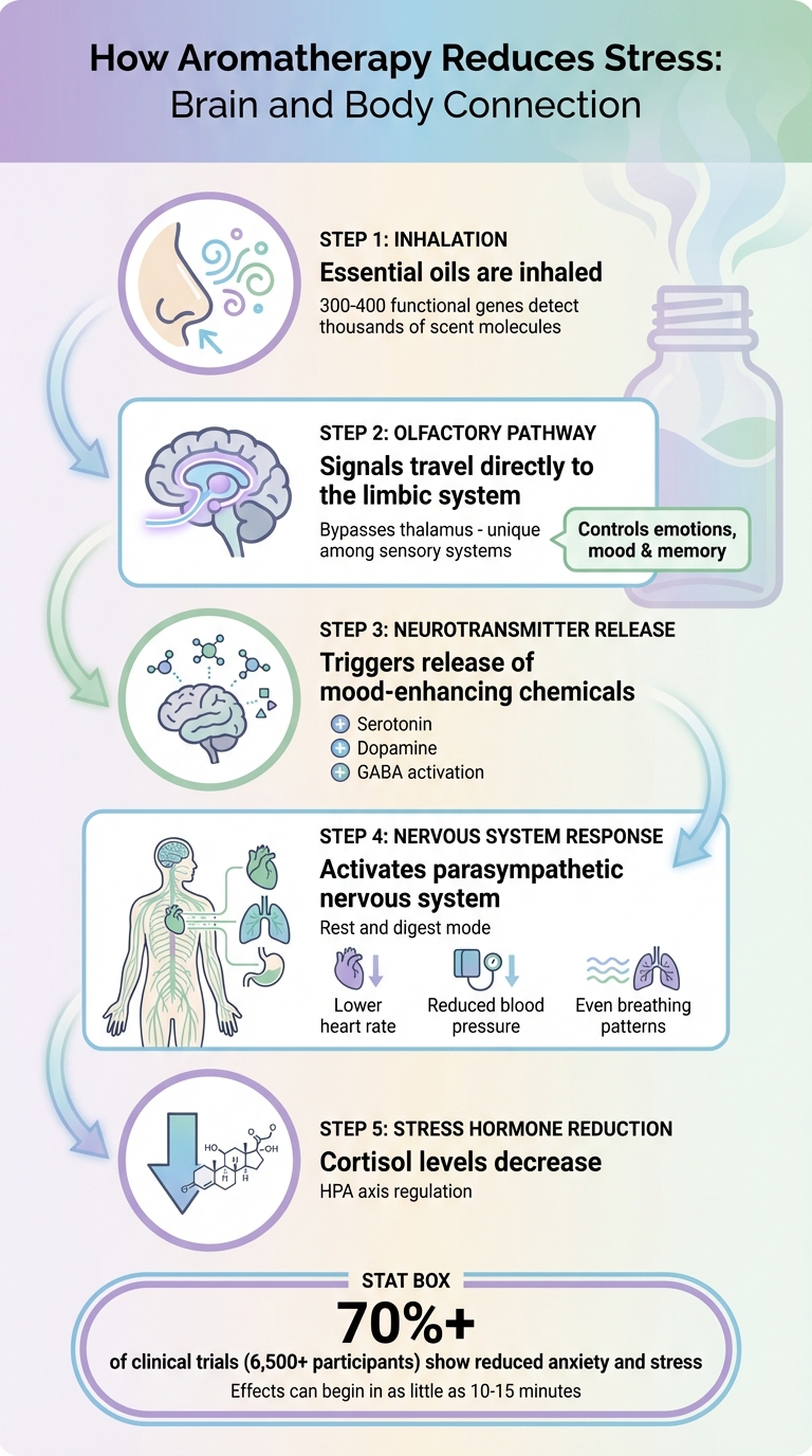 How Aromatherapy Reduces Stress: Brain and Body Connection