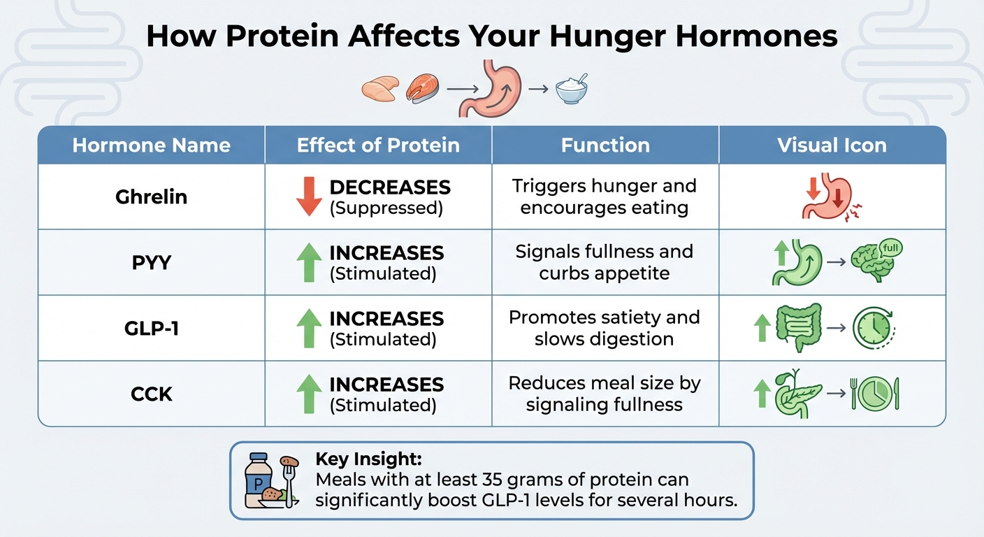 How Protein Affects Hunger Hormones: Complete Guide