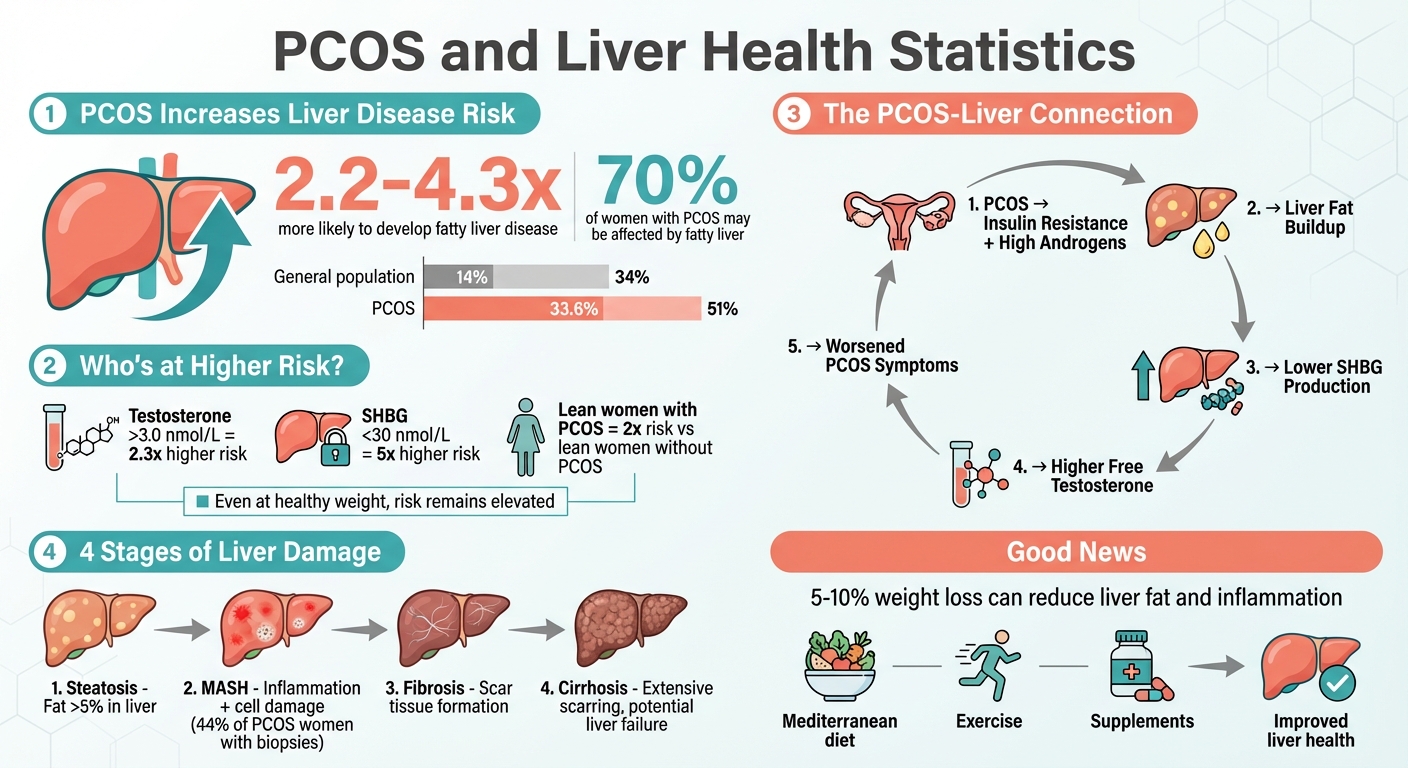 PCOS and Liver Health: Risk Statistics and Key Facts
