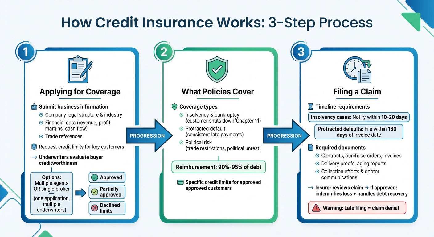 How Credit Insurance Works: 3-Step Process for B2B Businesses