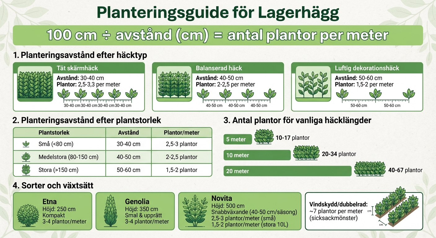 Planteringsguide lagerhägg: avstånd och antal plantor per meter