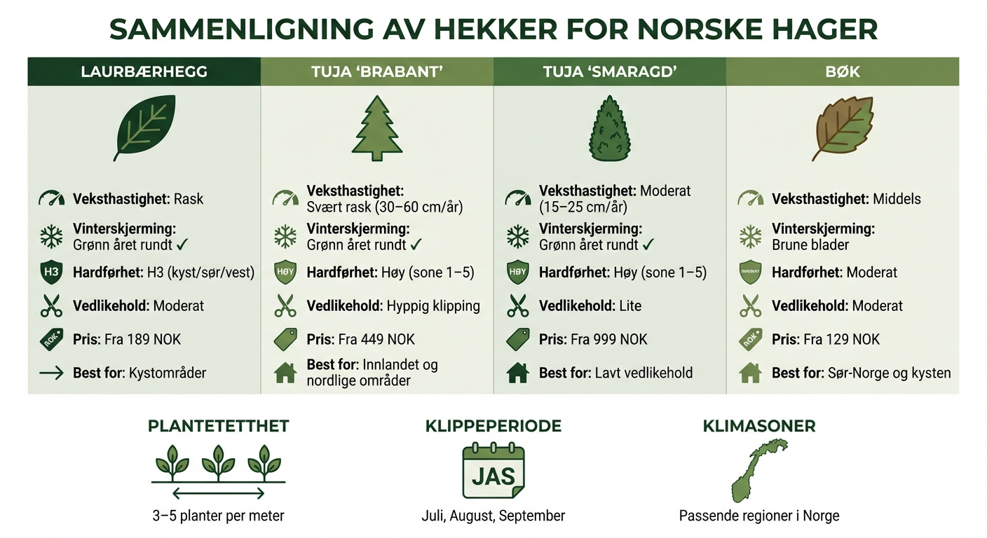 Sammenligning av laurbærhegg, tuja og bøk for norske hager