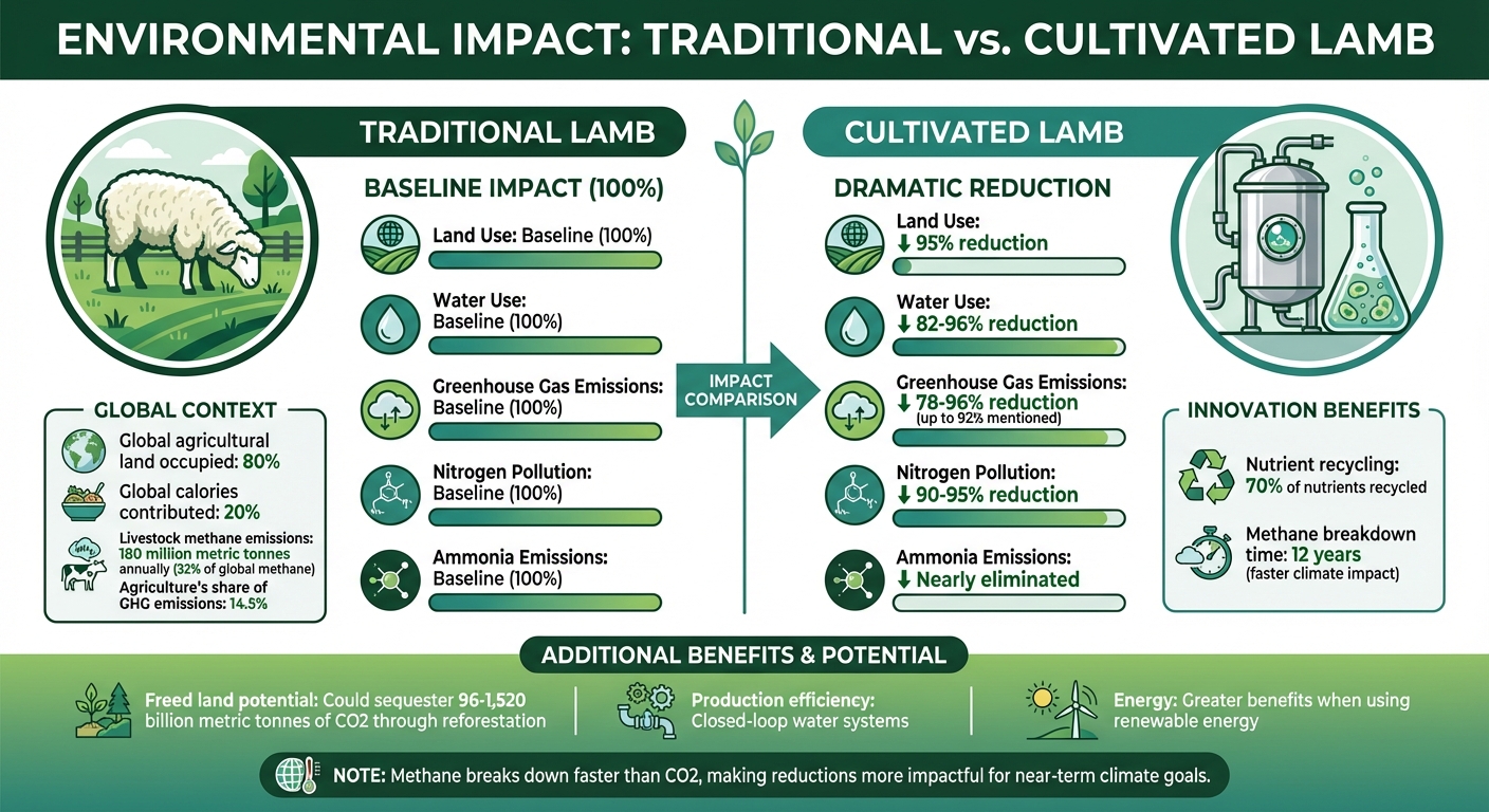 Environmental Impact: Cultivated Lamb vs Traditional Lamb Production