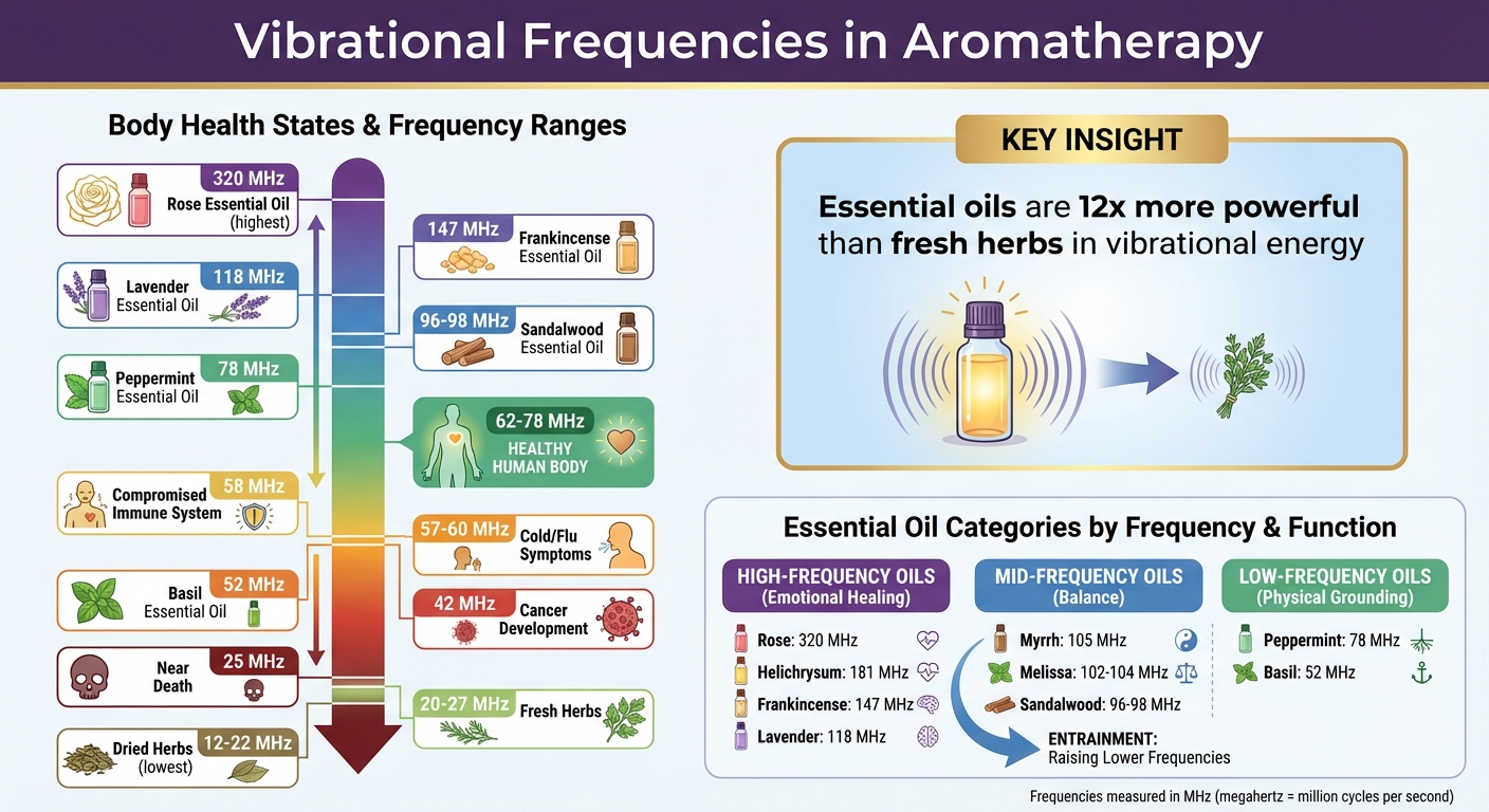 Essential Oil Vibrational Frequencies and Body Health States Chart